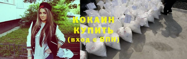 крисы Шадринск
