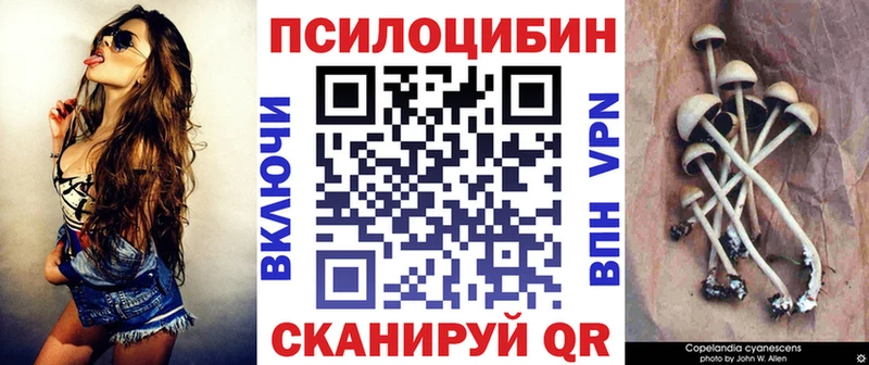 Псилоцибиновые грибы Magic Shrooms  даркнет сайт  Власиха 